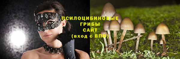 синтетический гашиш Арсеньев
