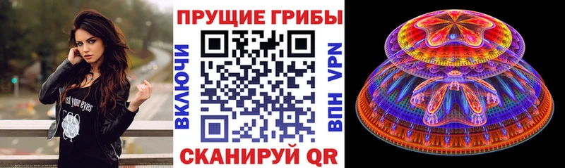 Купить где  Нижний Ломов  Галлюциногенные грибы мухоморы 